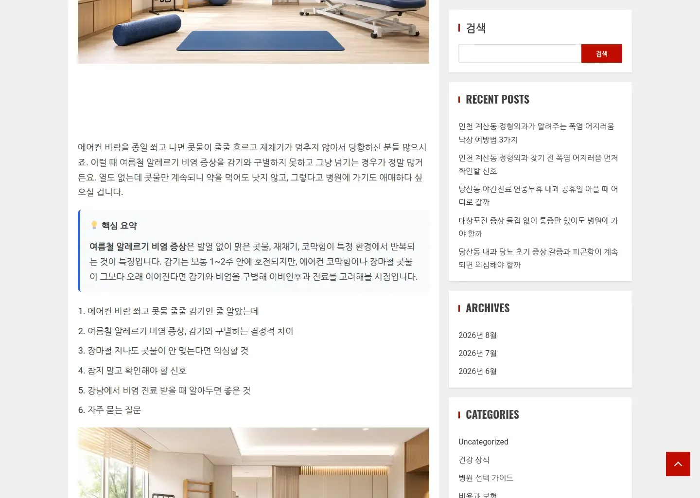 닥터위키의 여름철 알레르기 비염 설명과 핵심 요약을 보여 주는 본문 화면입니다.